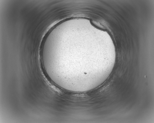 X0000064751133200603031726