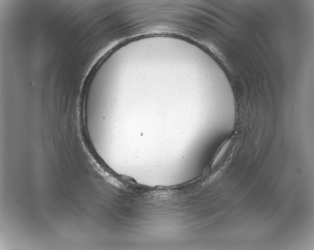 X0000064751134200603031726