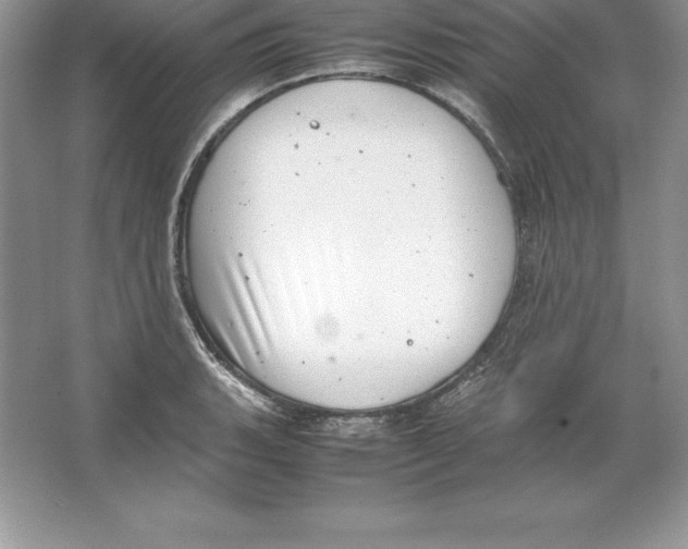 X0000064751135200603031726