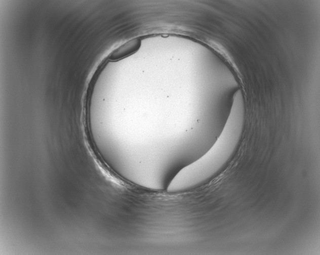 X0000064751136200603031727