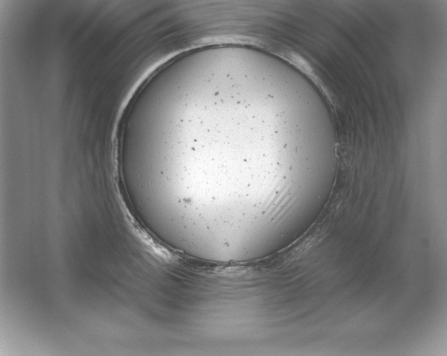 X0000064751140200603031727