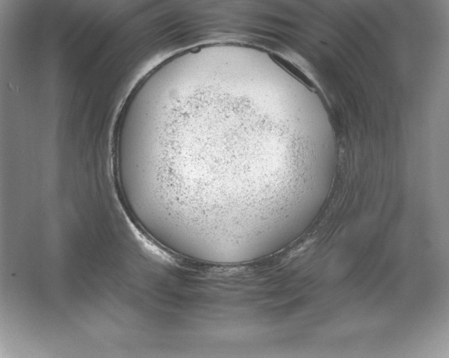 X0000064751143200603031727