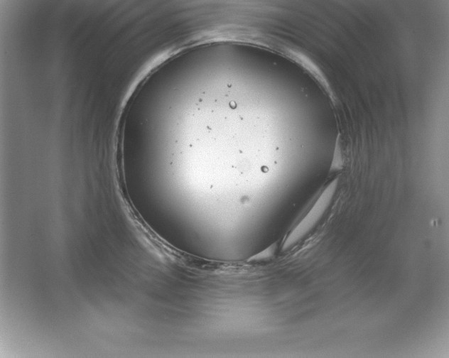 X0000064751146200603031727