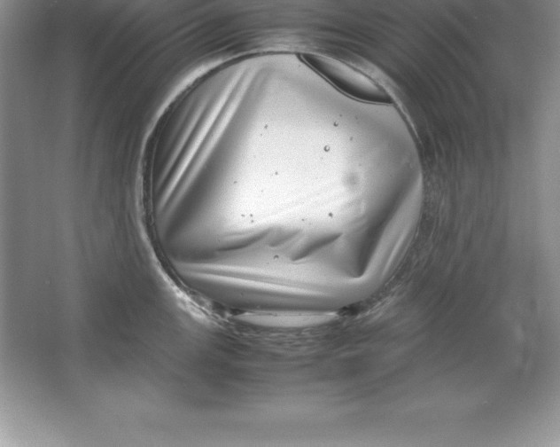 X0000064751147200603031727