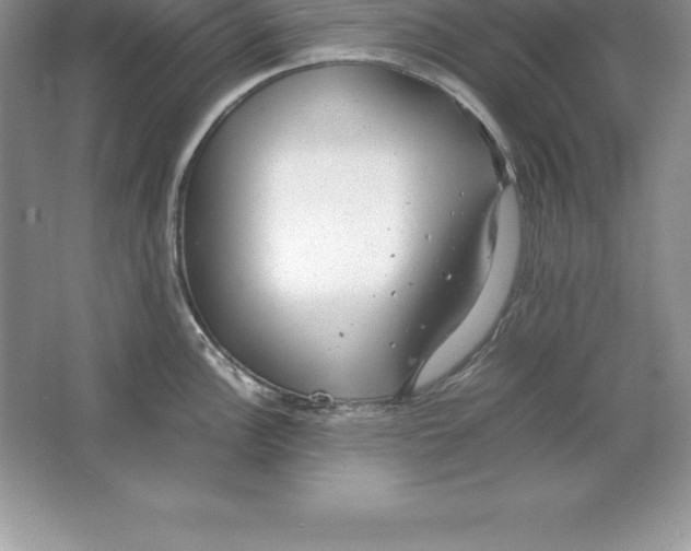 X0000064751148200603031727