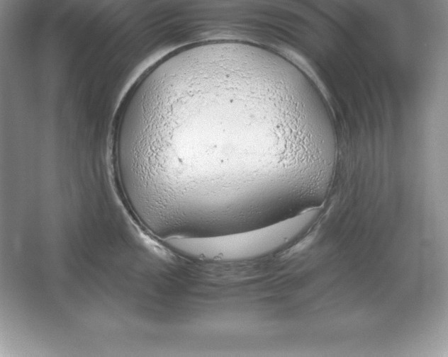 X0000064751149200603031727