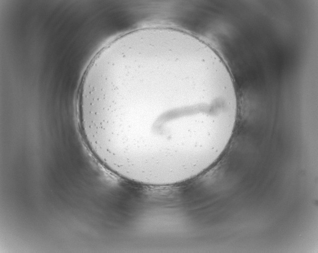 X0000064751150200603031727