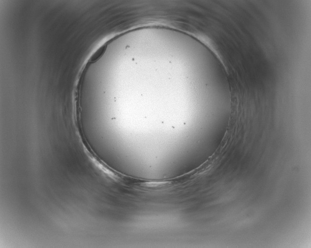 X0000064751151200603031727