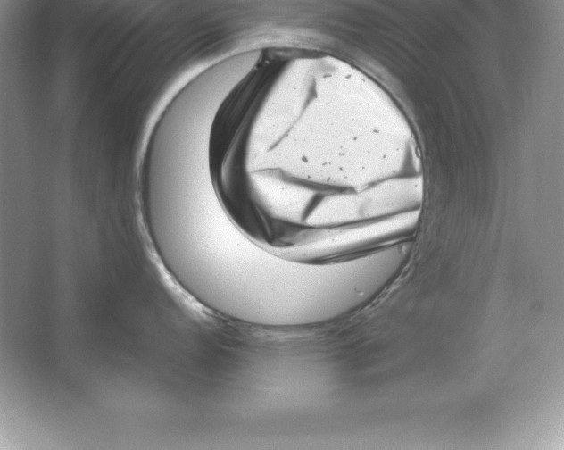 X0000064751152200603031727