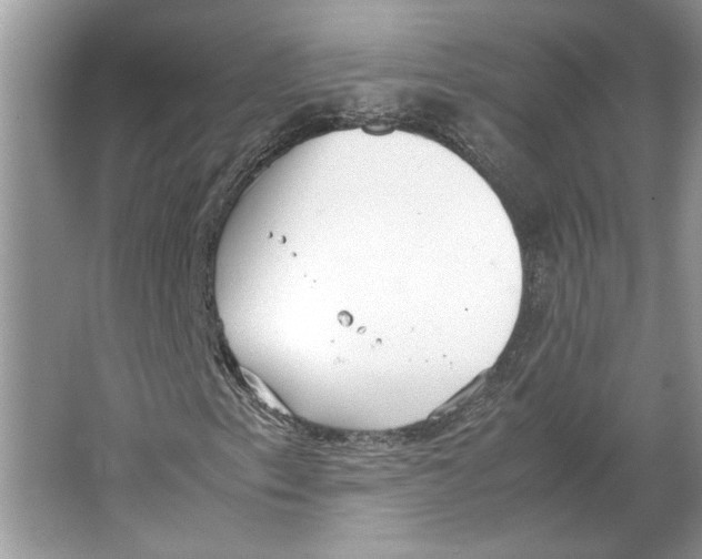 X0000064751153200603031726