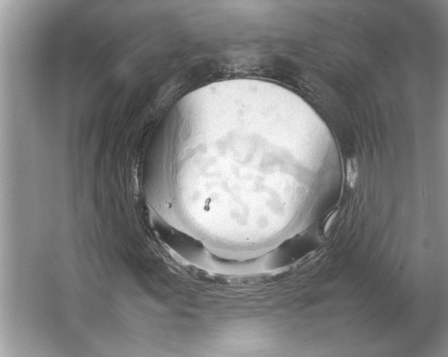 X0000064751155200603031726