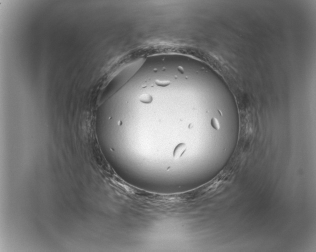 X0000064751157200603031726