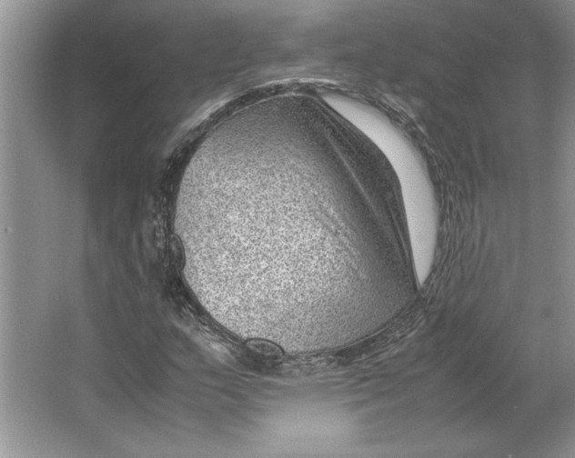 X0000064751159200603031726