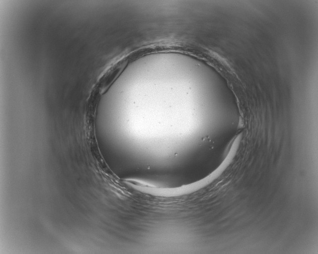 X0000064751160200603031726