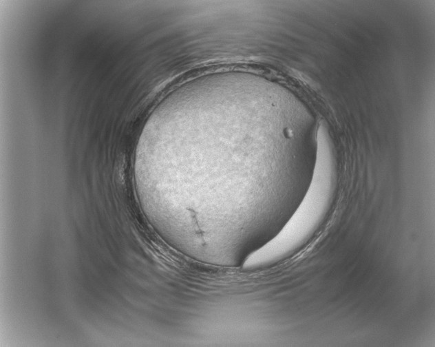 X0000064751161200603031726