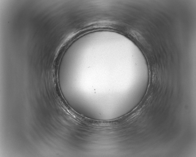 X0000064751164200603031726