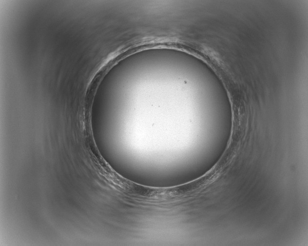 X0000064751165200603031726