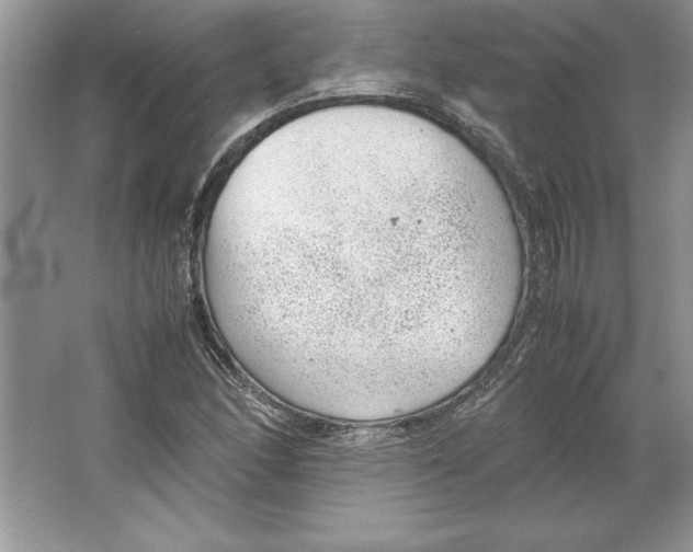 X0000064751166200603031726