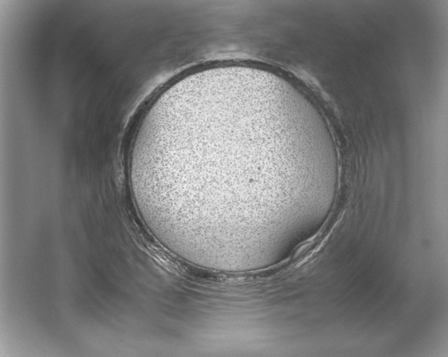 X0000064751167200603031726