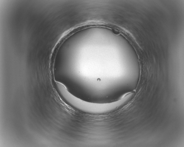 X0000064751168200603031726