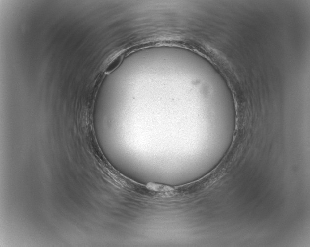 X0000064751169200603031726