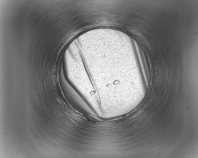 X0000064751170200603031726