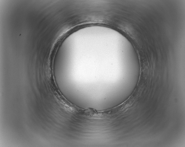 X0000064751172200603031726