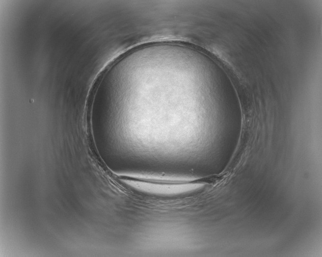 X0000064751173200603031726