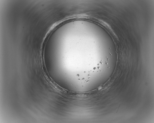 X0000064751176200603031726