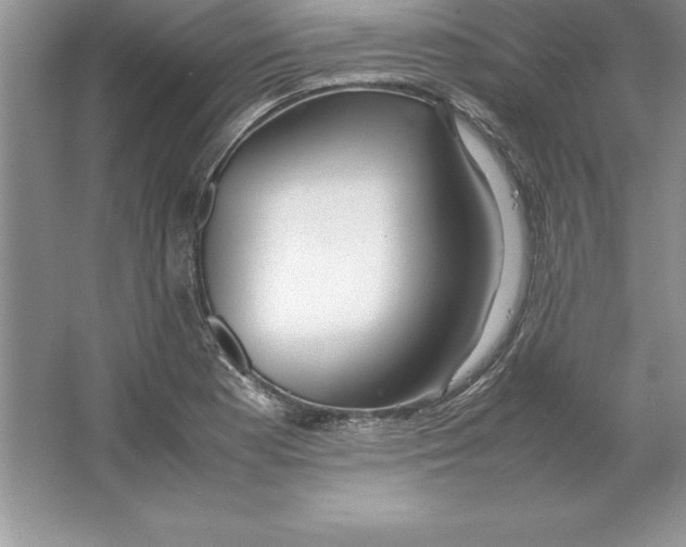 X0000064751177200603031726