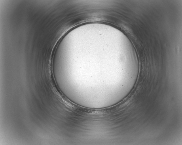 X0000064751178200603031726