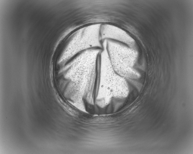 X0000064751179200603031726