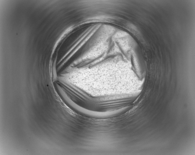 X0000064751180200603031726