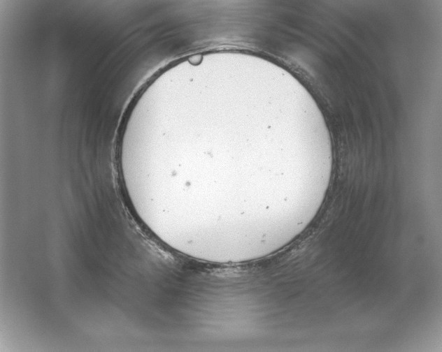 X0000064751182200603031725