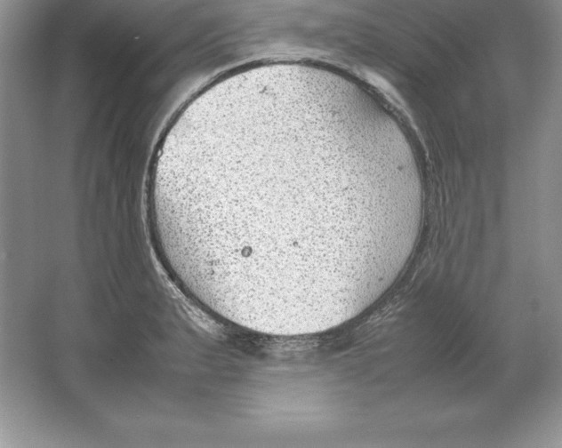 X0000064751183200603031725