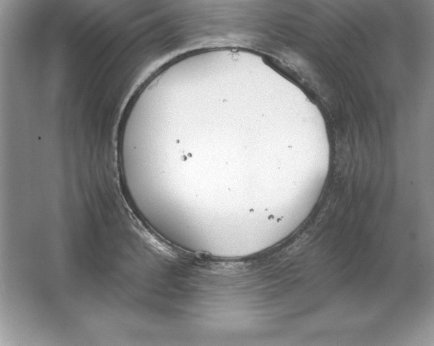 X0000064751184200603031725