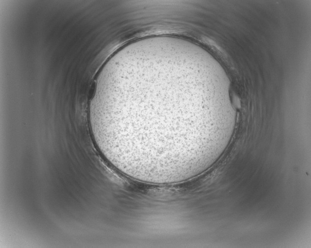 X0000064751185200603031725