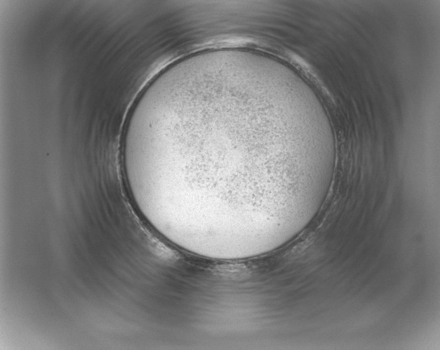 X0000064751186200603031725