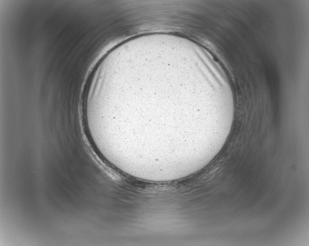 X0000064751187200603031725