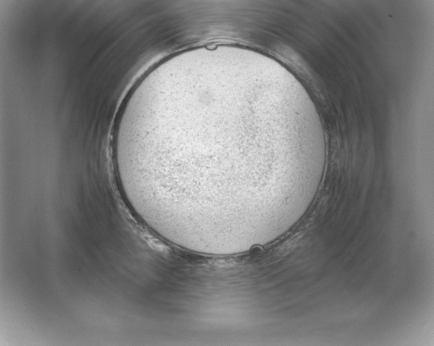 X0000064751190200603031725