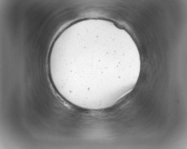 X0000064751191200603031725