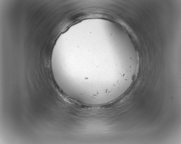 X0000064751193200603031725