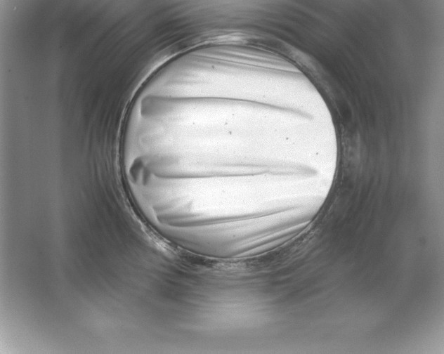 X0000064751194200603031725