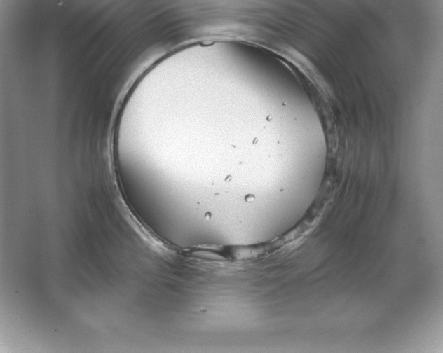 X0000064751196200603031725