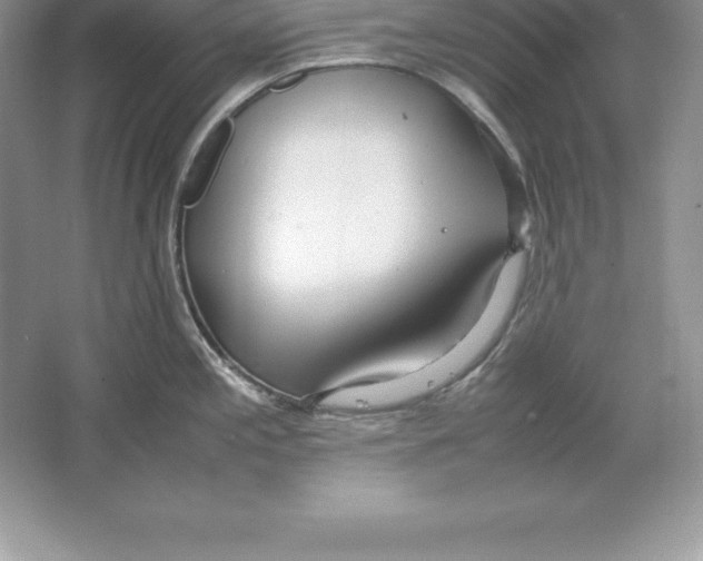 X0000064751197200603031725