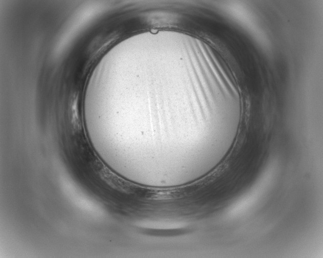 X0000064751198200603031725