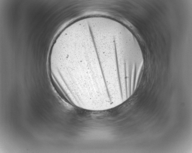 X0000064751199200603031725