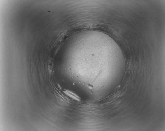 X0000064751202200603031724