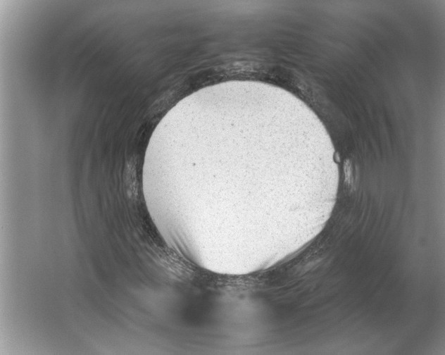 X0000064751203200603031724