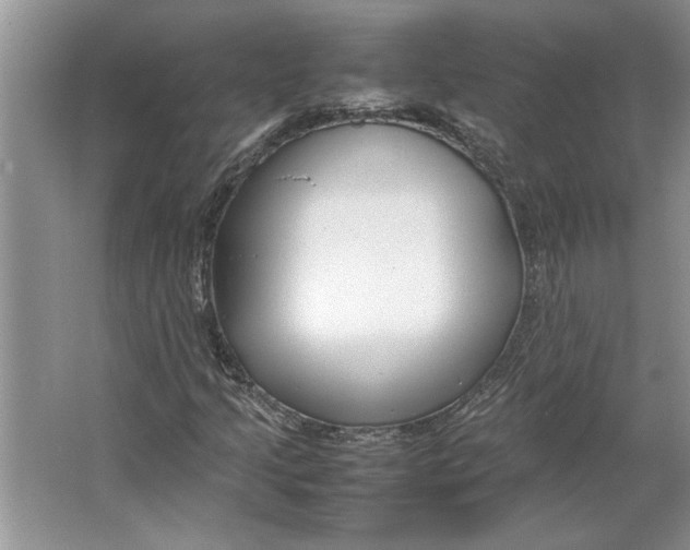 X0000064751205200603031724